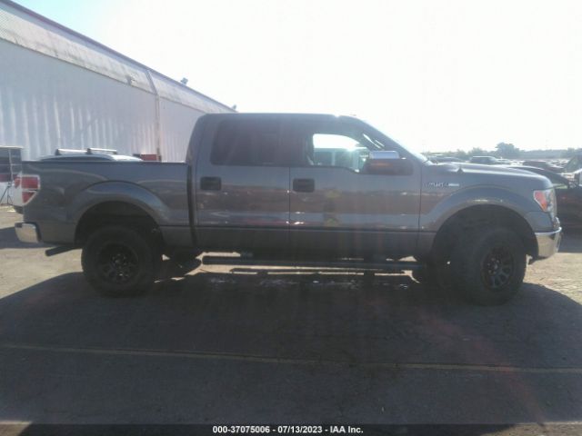 1FTFW1EF8EFC35049 Ford F-150 Xl/xlt/stx/fx4/lariat