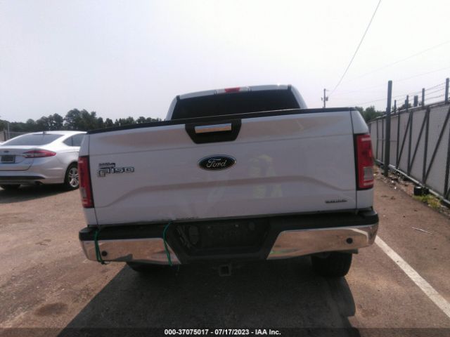 1FTEW1EF3GFA08429 Ford F-150 Xlt/xl/lariat/platinum