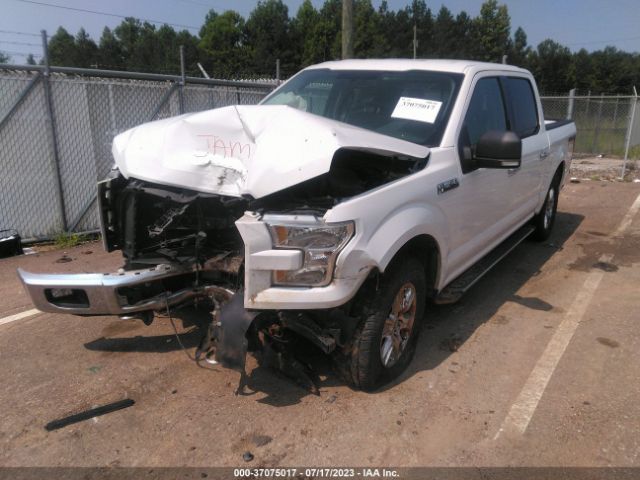 1FTEW1EF3GFA08429 Ford F-150 Xlt/xl/lariat/platinum