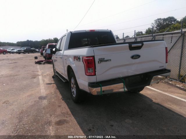 1FTEW1EF3GFA08429 Ford F-150 Xlt/xl/lariat/platinum