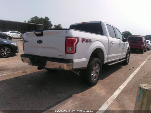 1FTEW1EF3GFA08429 Ford F-150 Xlt/xl/lariat/platinum