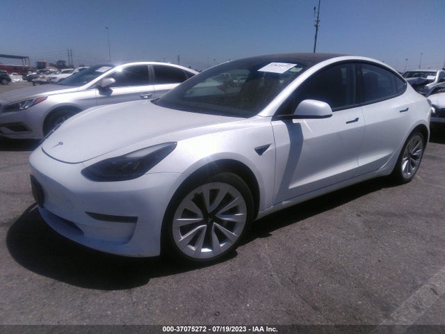 Tesla MODEL 3 2023 5YJ3E1EA8PF450349 Image 2