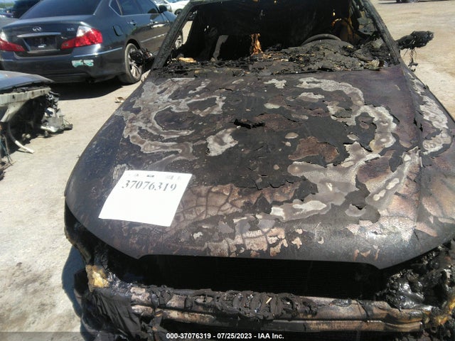WAUFFAFLXGN018404 Audi A4 Premium Plus
