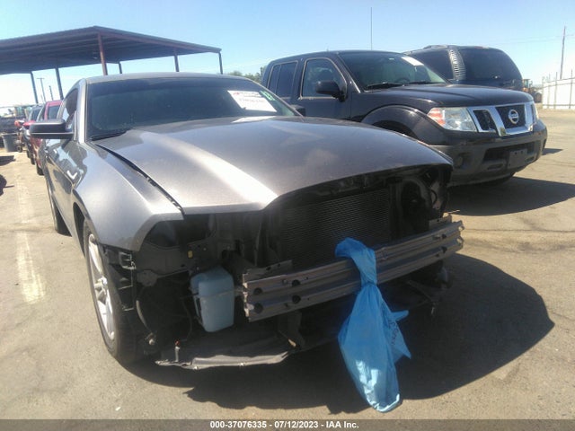 Ford Mustang V6 2014 1ZVBP8AM4E5226893 Image 13
