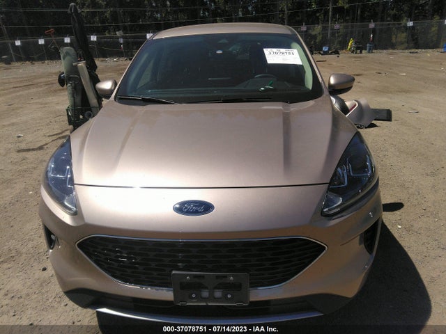 Ford ESCAPE SE 2020 1FMCU0G66LUB13343 Image 5