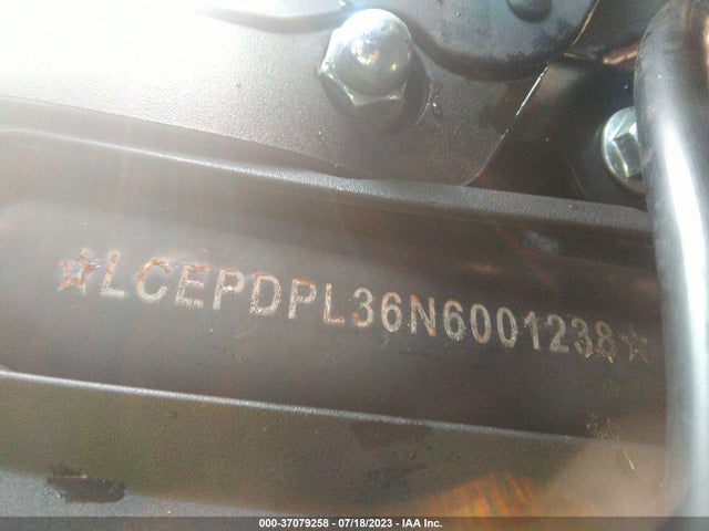 2022 CFHG 300SS LCEPDPL36N6001238 Photo 9