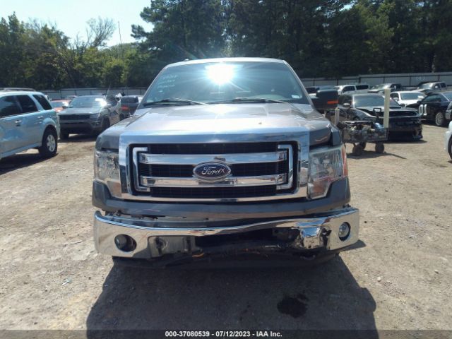 1FTEX1EMXEKD73836 Ford F-150 Xl/stx/xlt