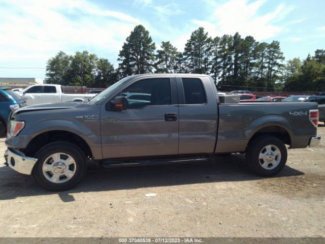 1FTEX1EMXEKD73836 Ford F-150 Xl/stx/xlt