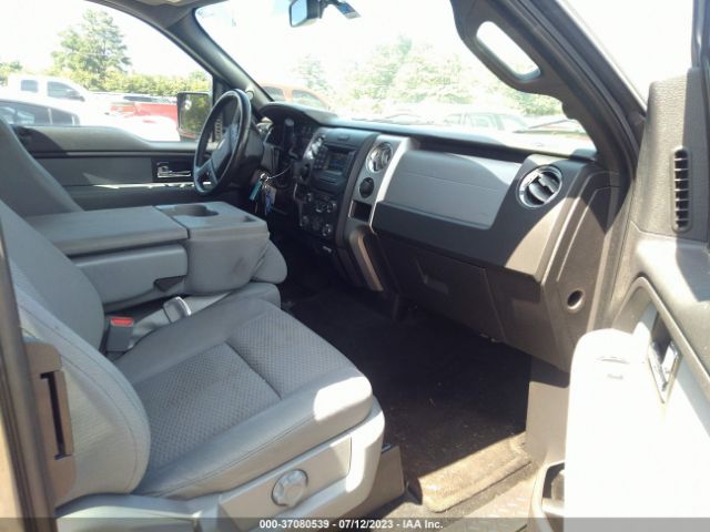1FTEX1EMXEKD73836 Ford F-150 Xl/stx/xlt