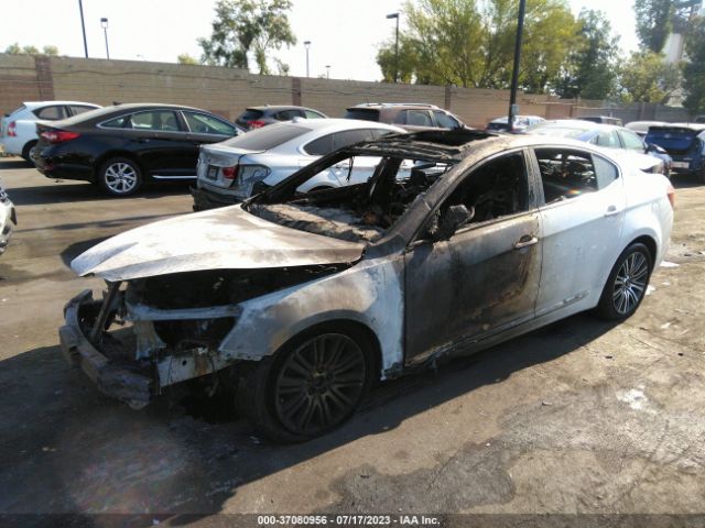 KNALN4D74E5126351 KIA Cadenza Premium