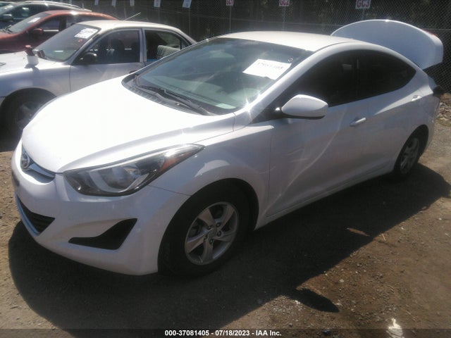 Hyundai ELANTRA SE 2014 5NPDH4AEXEH515724 Image 2