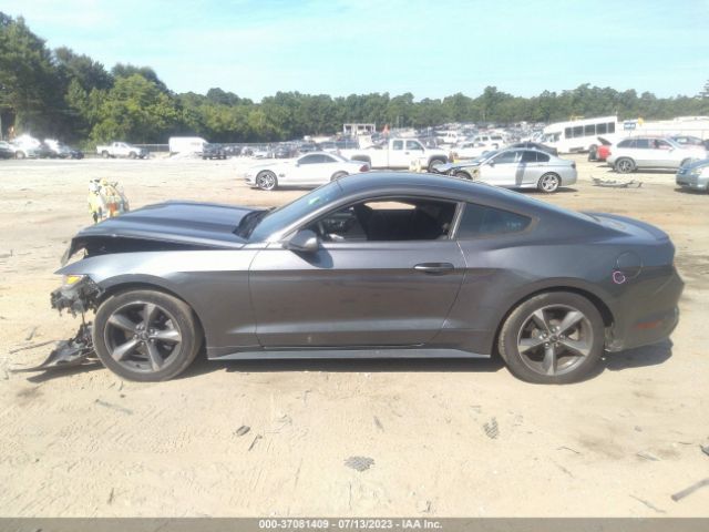 1FA6P8AM2G5255192 Ford Mustang V6