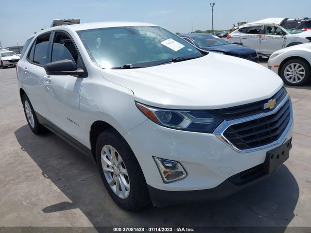 Chevrolet EQUINOX LS 2019 2GNAXHEV3K6139284 Image 1