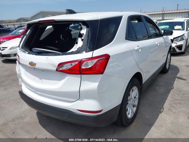 Chevrolet EQUINOX LS 2019 2GNAXHEV3K6139284 Image 4
