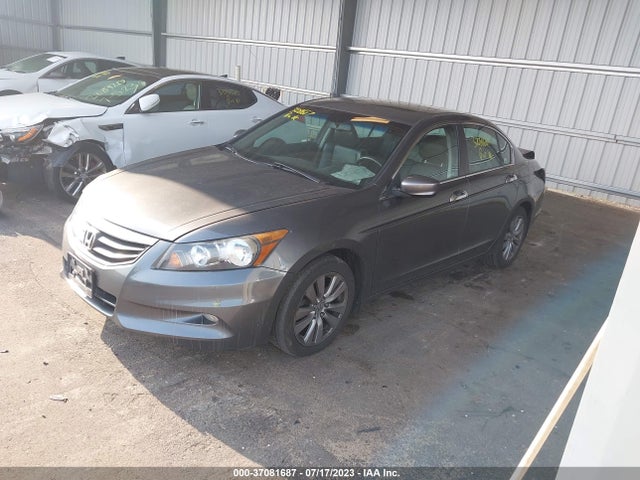 2011 HONDA ACCORD SDN EX-L VIN: 1HGCP3F80BA031741
