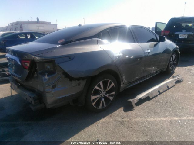 1N4AA6AP8JC384325 Nissan MAXIMA SV
