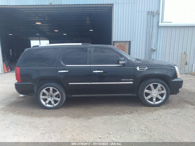 2010 CADILLAC ESCALADE PREMIUM VIN: 1GYUKCEF1AR212620