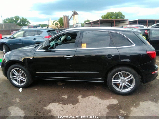 WA1D7AFP2GA013824 Audi Q5 Premium Plus