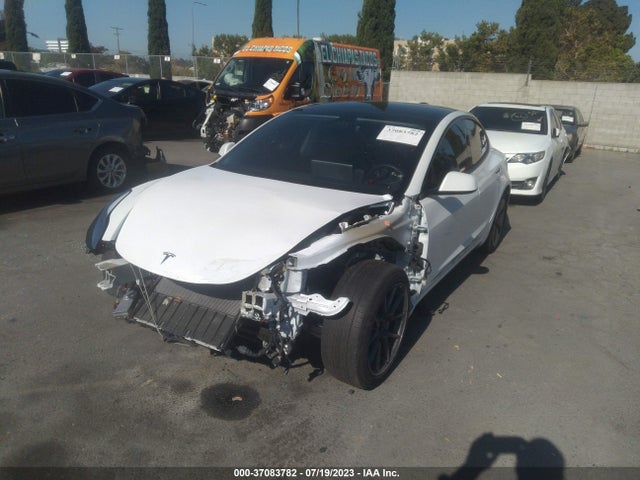 Tesla MODEL 3 2022 5YJ3E1EA1NF113910 Image 2