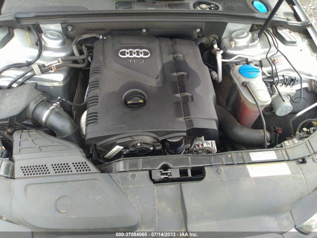 WAUFFAFL1FN019651 Audi A4 Premium Plus