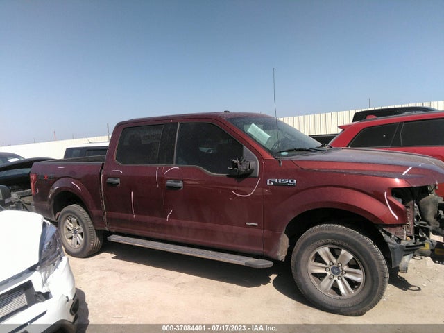 Ford F-150 Xlt 2015 1FTEW1EG3FKE72612 Image 13
