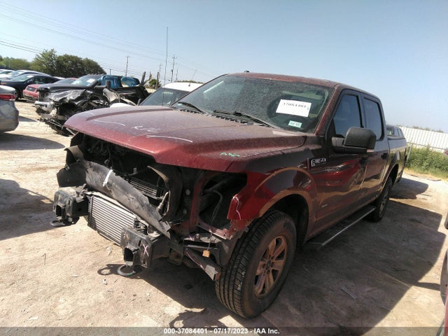 Ford F-150 Xlt 2015 1FTEW1EG3FKE72612 Image 2