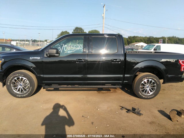 2019 FORD F-150 XLT VIN: 1FTEW1EP7KFC44129