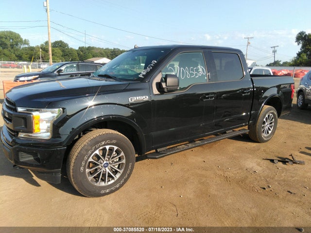 2019 FORD F-150 XLT VIN: 1FTEW1EP7KFC44129