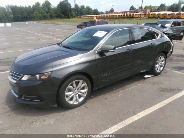 Chevrolet IMPALA LT 2019 2G11Z5S39K9118063 Image 2