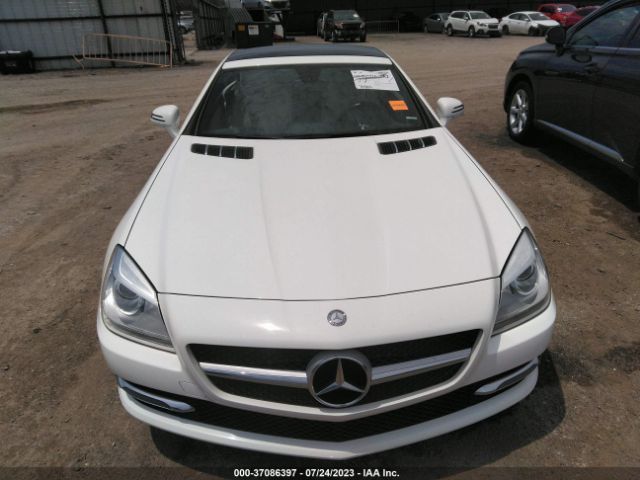 WDDPK4HA3FF096621 Mercedes-Benz Slk-class Slk 250