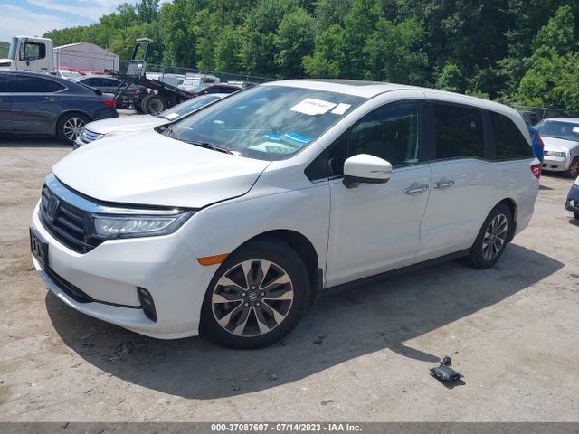 2022 HONDA ODYSSEY EX-L VIN: 5FNRL6H75NB063803