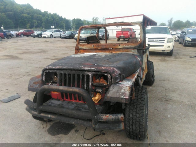 1995 JEEP WRANGLER / YJ S/RIO GRANDE VIN: 1J4FY19P3SP313900