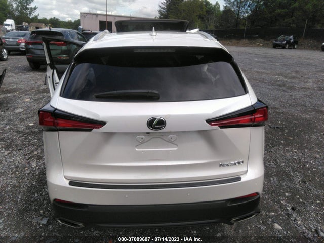 2021 LEXUS NX NX 300 VIN: JTJDARDZ9M5019387