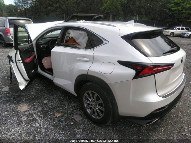 2021 LEXUS NX NX 300 VIN: JTJDARDZ9M5019387