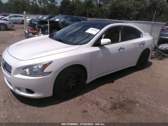 1N4AA5AP4EC468884 Nissan Maxima 3.5 Sv W/premium Pkg