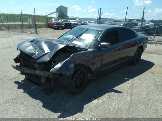 Dodge Charger Police 2014 2C3CDXAT5EH311627 Image 2