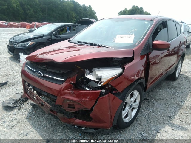 2014 FORD ESCAPE SE VIN: 1FMCU0GX9EUB55744