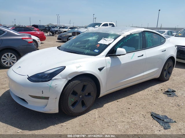 Tesla MODEL 3 2023 5YJ3E1EA1PF411506 Image 2