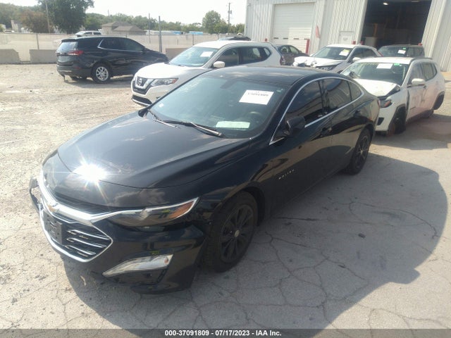 2019 CHEVROLET MALIBU LT VIN: 1G1ZD5ST3KF159264