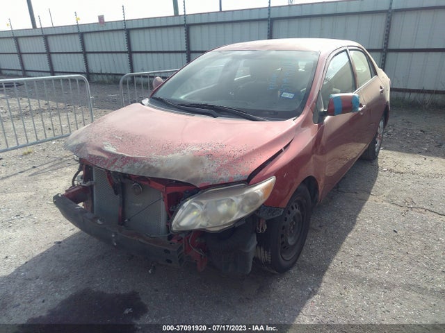 2010 TOYOTA COROLLA VIN: 1NXBU4EE2AZ383437