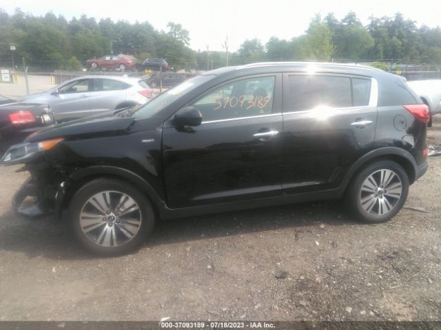 KNDPCCAC2G7833168 KIA Sportage Ex