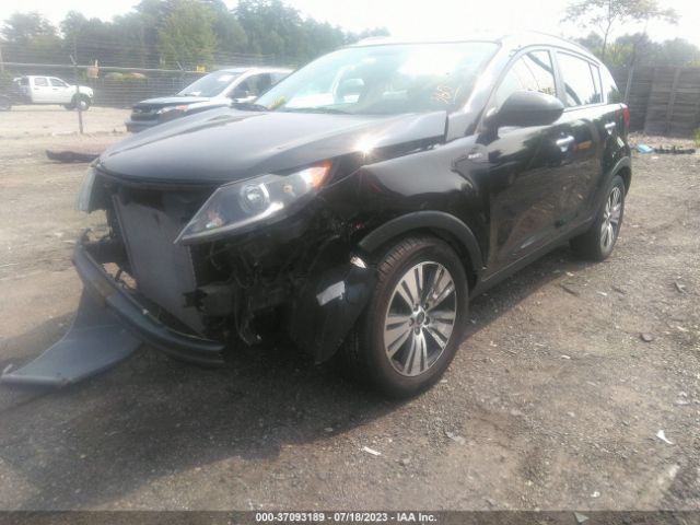KNDPCCAC2G7833168 KIA Sportage Ex