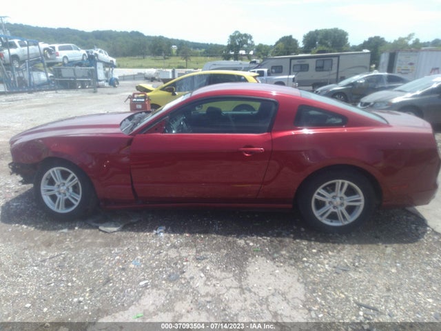 Ford Mustang V6 2014 1ZVBP8AM6E5320970 Image 7