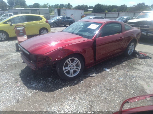 Ford Mustang V6 2014 1ZVBP8AM6E5320970 Image 2