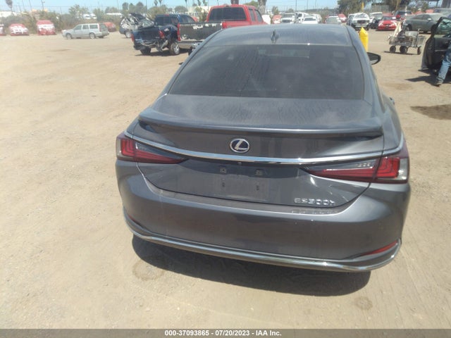 2020 Lexus ES, VIN: 58AE21B16LU009301