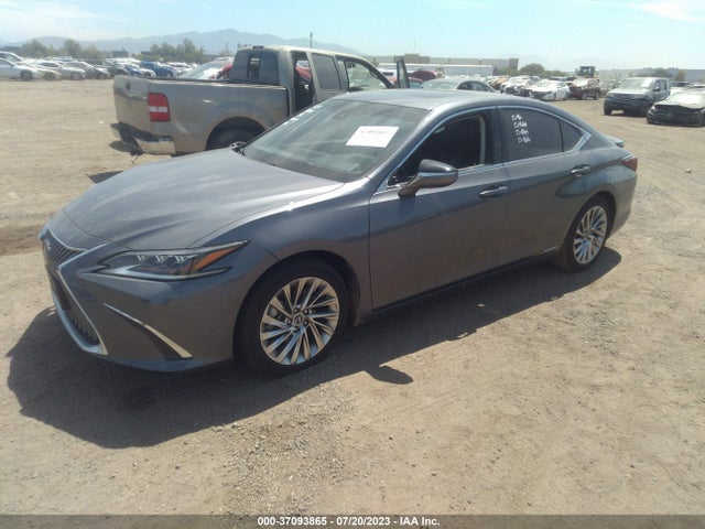 2020 Lexus ES, VIN: 58AE21B16LU009301