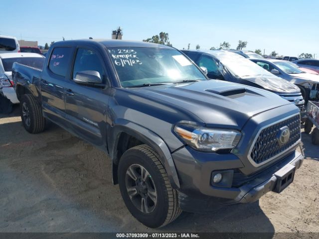 2019 3TMBZ5DN8KM019896 main image