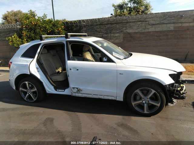 WA1D7AFP7GA129455 Audi Q5 Premium Plus