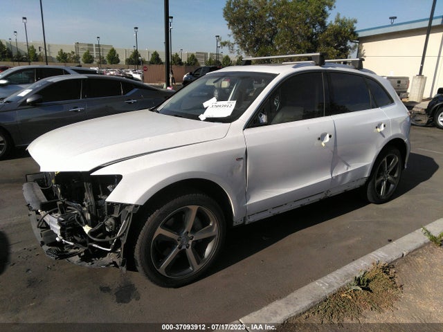 WA1D7AFP7GA129455 Audi Q5 Premium Plus