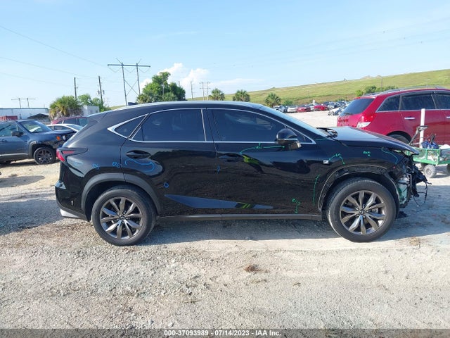 2020 Lexus NX, VIN: JTJJARBZ8L5003038